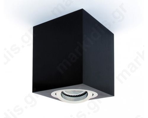 12105AC/B, outdoor spot light