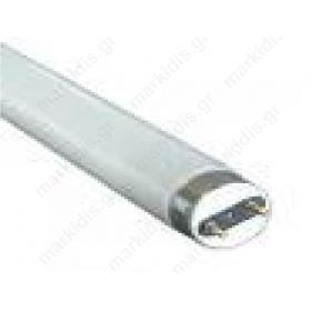 T8 36W, Fluorescent bulb