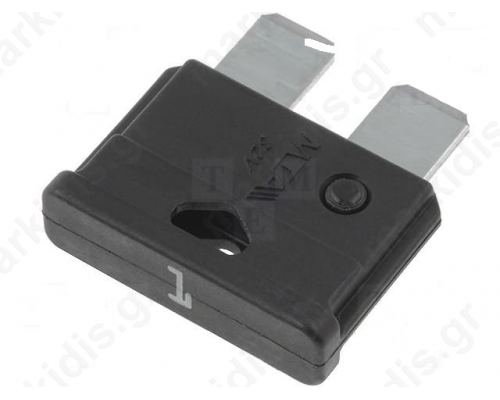 Fuse Automotive 1A 32V 19mm