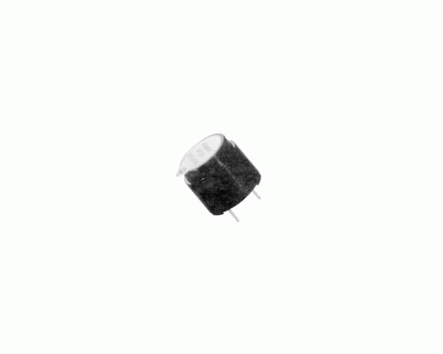 BUZZER WITH EXTERNAL STIMULATION 12V  HCM1212