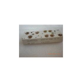 MODULE SKIIP83ANB15T4,3-phase bridge rectifier + IGBT braking chopper