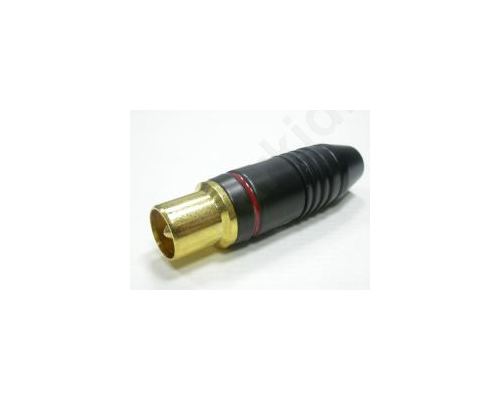 PLUG TV GOLD SCREW NAKAMITSI