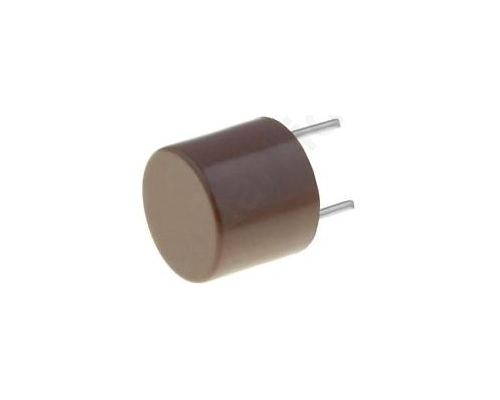 Fuse Time-lag 1A 250VAC TR5