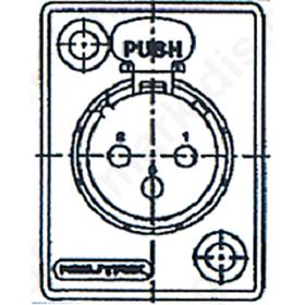 XLR ΘΗΛΥΚΟ ΣΑΣΙ