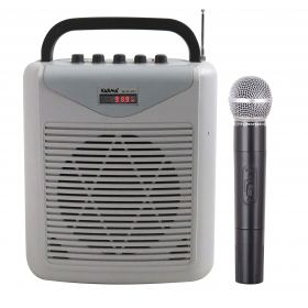 Amplified speaker with wireless microphone