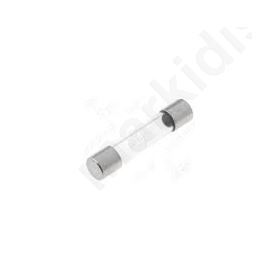 Fuse time-lag 12A 250VAC cylindrical,glass 6,3x32mm