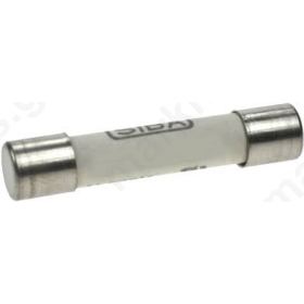 Fuse time-lag 10A; 500VAC ceramic,cylindrical 6,3x32mm